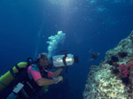PADI discover scuba diving program